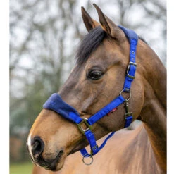 LeMieux Vogue Halter And Leadrope Set -Lemieux Shop it0082 c1106 alt1