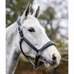 LeMieux Stitched Anatomical Leather Halter -Lemieux Shop it00882 c1105 alt3