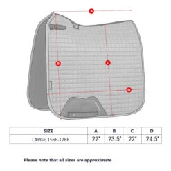 LeMieux Loire Satin Dressage Pad -Lemieux Shop it01343005 c1183 alt2