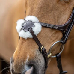 LeMieux Grackle Figure-8 Bridle -Lemieux Shop it02644 1109 alt2