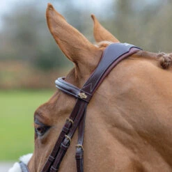 LeMieux Grackle Figure-8 Bridle -Lemieux Shop it02644 1109 alt3