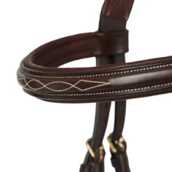 LeMieux Grackle Figure-8 Bridle -Lemieux Shop it02644 1109 alt4