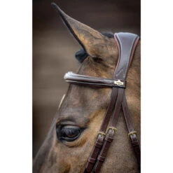 LeMieux Competition Flash Bridle -Lemieux Shop it02645 c1109 alt3