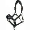 LeMieux ProSafe Headcollar 2 LeMieux ProSafe Headcollar -Lemieux Shop it0323 c1105