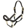 Lemieux LeMeux Leather Grooming Halter