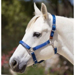 Kensington Breakaway Halter With Padded Nose -Lemieux Shop khsb c1106