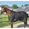 Country Pride Paladin High Neck Heavyweight Turnout Blanket -Lemieux Shop ktl1540 c1105 bdfe22fe 9fdc 4473 9001 8cd442392e95