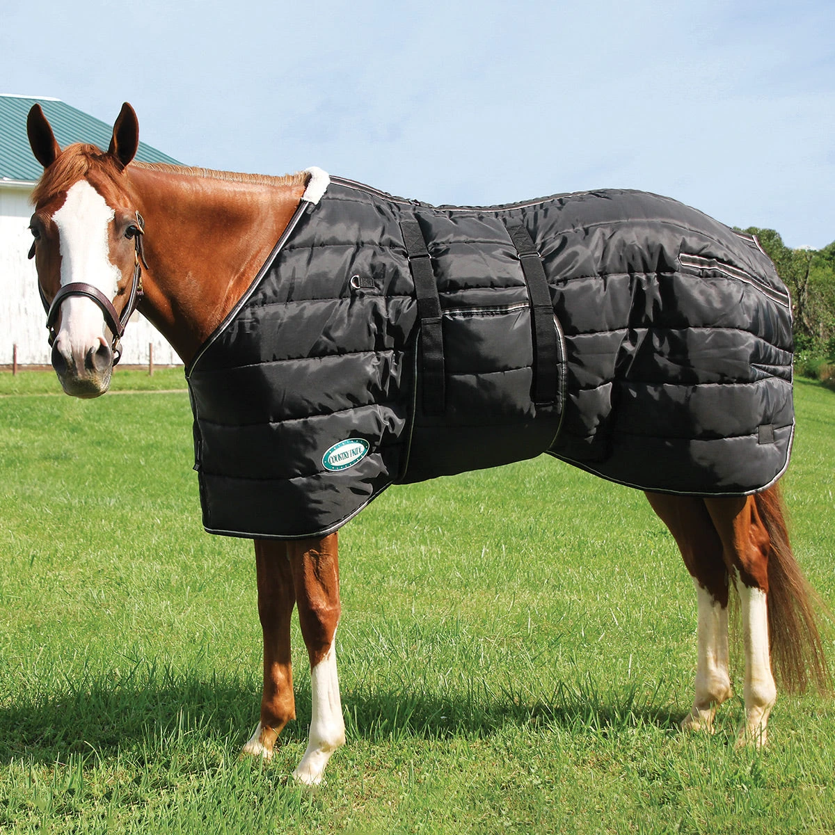 Country Pride Closed Front Midweight Quilted Stable Blanket 4 Country Pride Closed Front Midweight Quilted Stable Blanket - Image 2