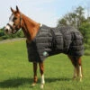 Country Pride Closed Front Midweight Quilted Stable Blanket -Lemieux Shop ktl323 c1105 alt1