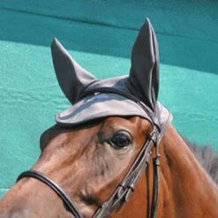 Fenwick Liquid Titanium Therapeutic Ear Cover -Lemieux Shop lt102 c1125