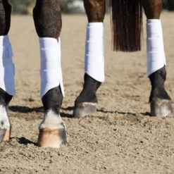 Professionals Choice Pro Performance Elite XC Boots Hind -Lemieux Shop pmxcr c1172