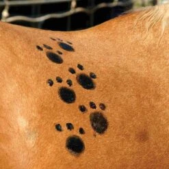 Tail Tamer Pony Paints 4 Oz -Lemieux Shop ppnts c1106 alt1