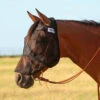 Cashel Quiet Ride Long Nose Fly Mask No Ears